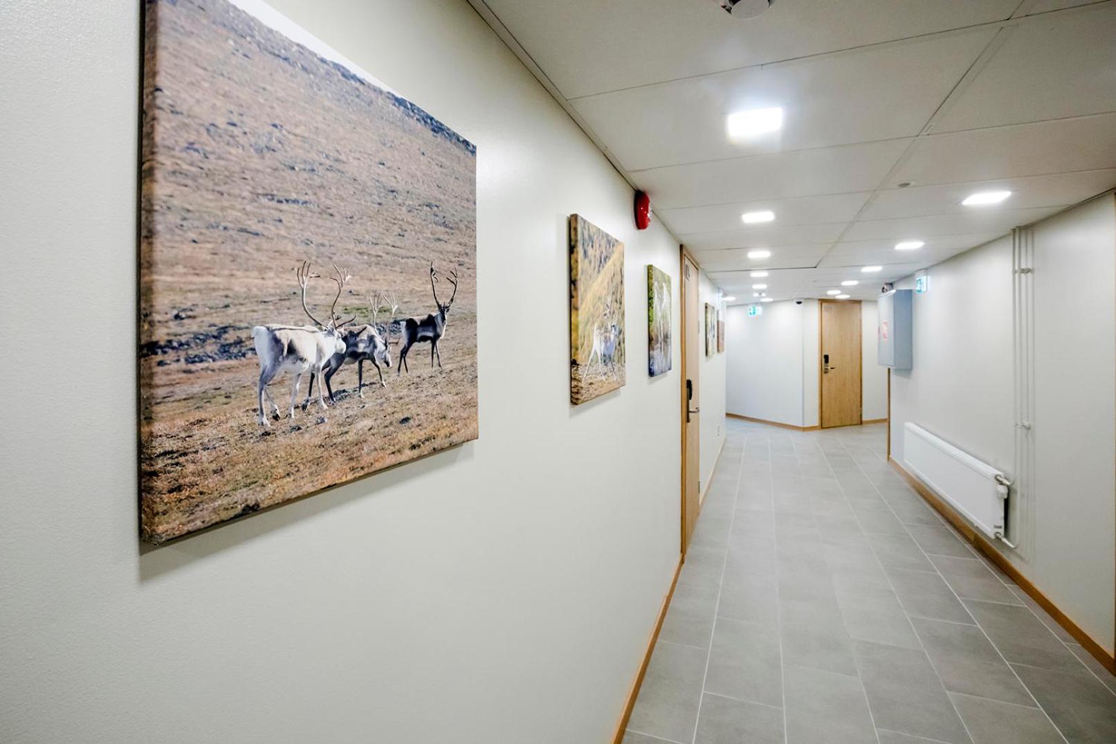 קמי Hostel Toivola מראה חיצוני תמונה